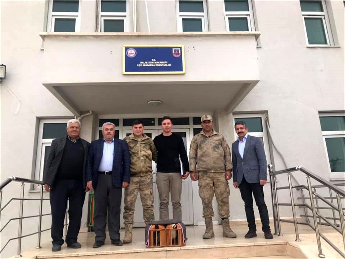Şanlıurfa kaçak avlanma ile mücadele