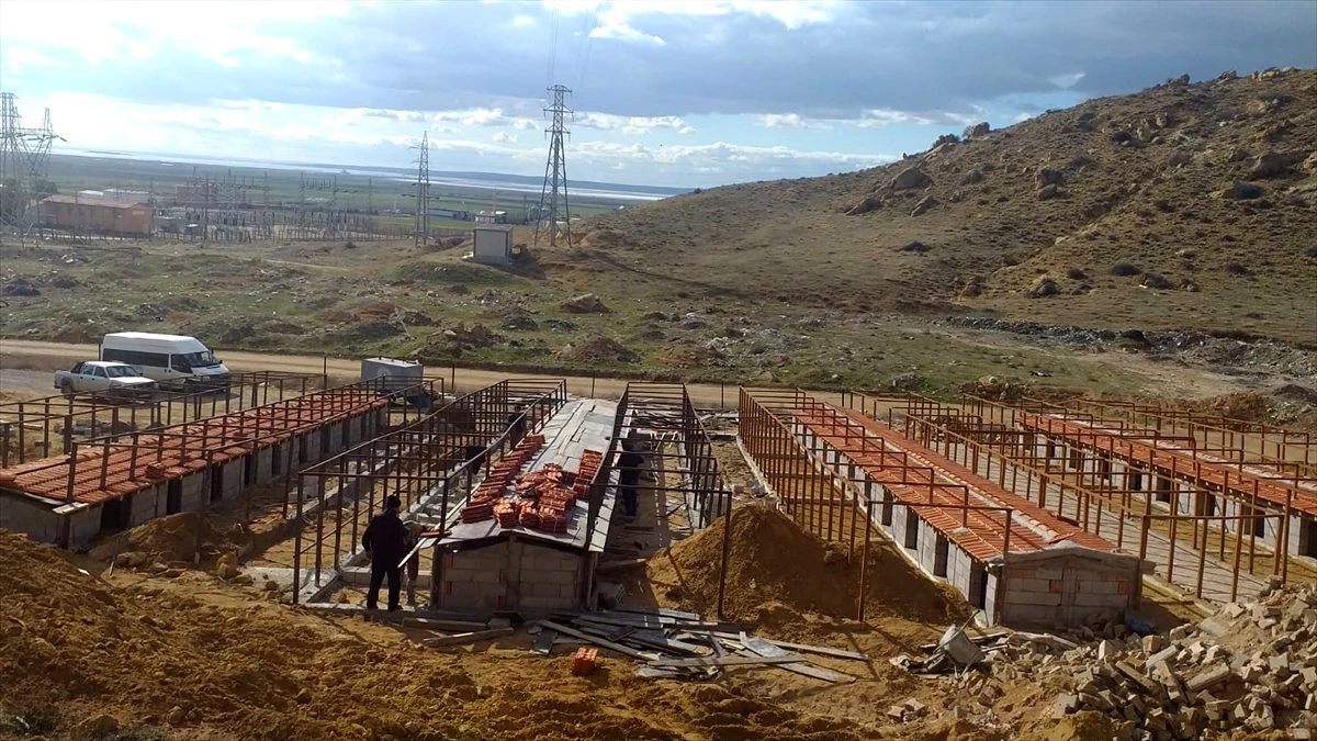 Şereflikoçhisar\'da belediyenin hayvan barınağı yapımında sona gelindi