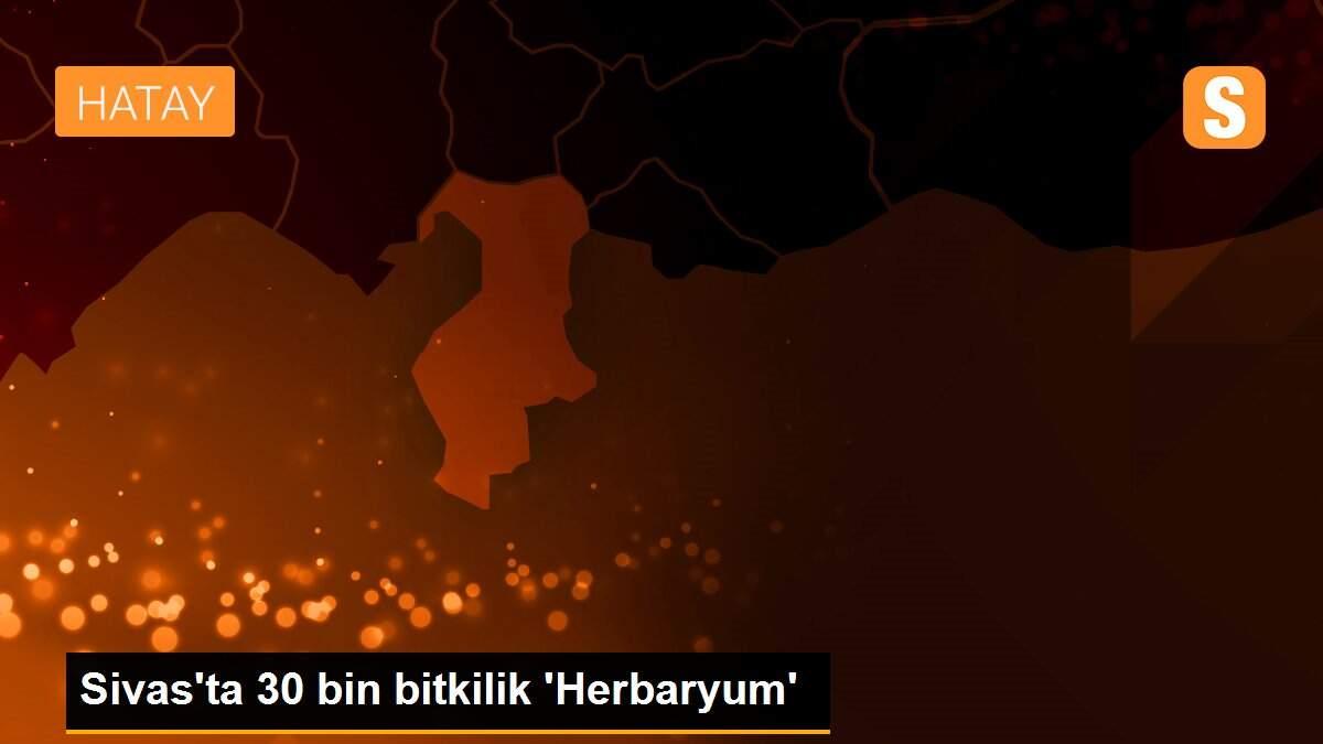 Sivas\'ta 30 bin bitkilik \'Herbaryum\'