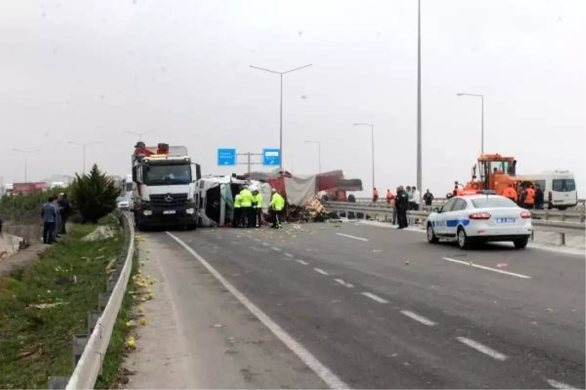 TIR devrildi, meyveler yola saçıldı