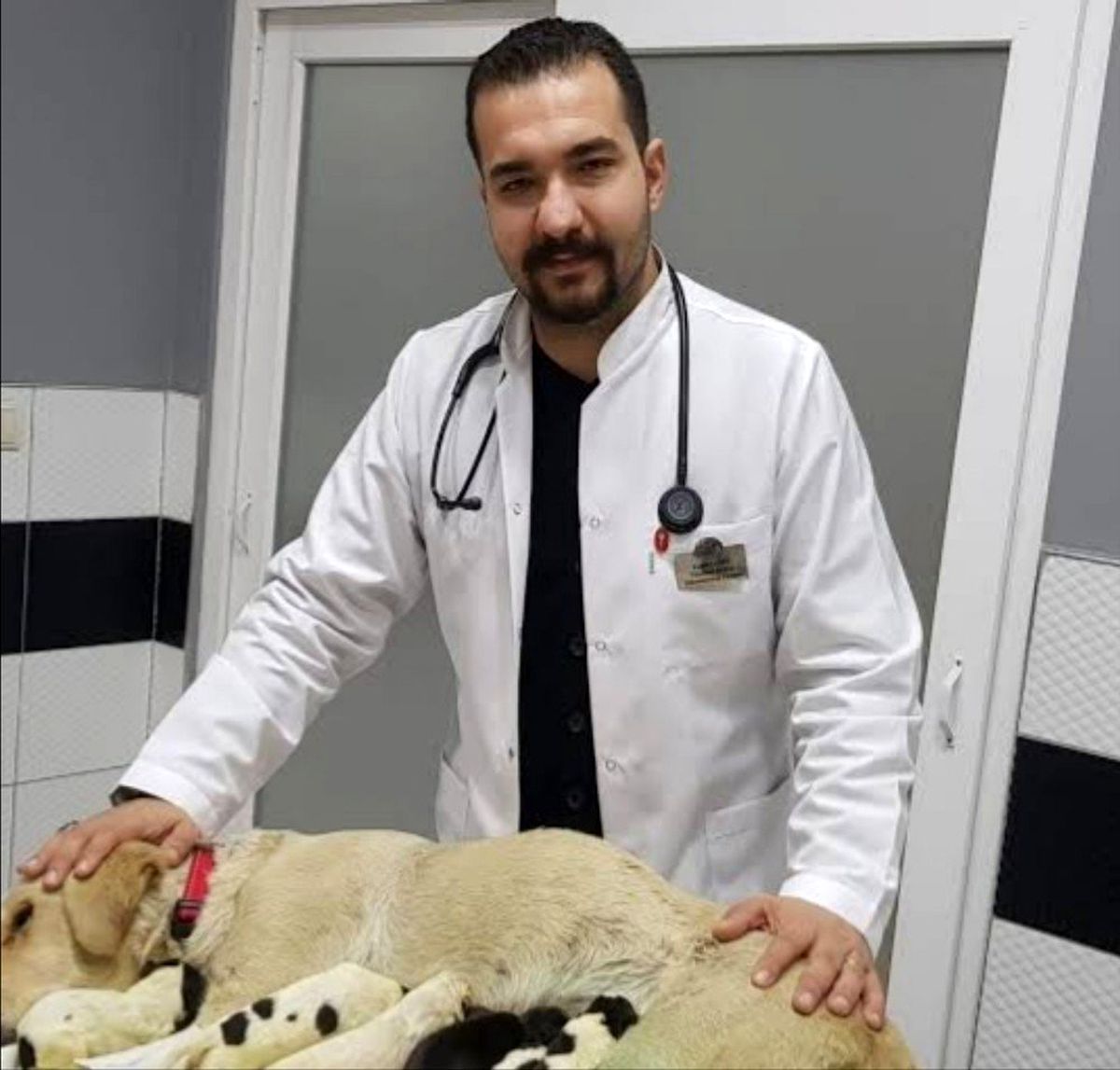 Veteriner Hekimleri Odası Başkanı Şahin, "Evcil hayvan sahipleri tedirgin olmasın"