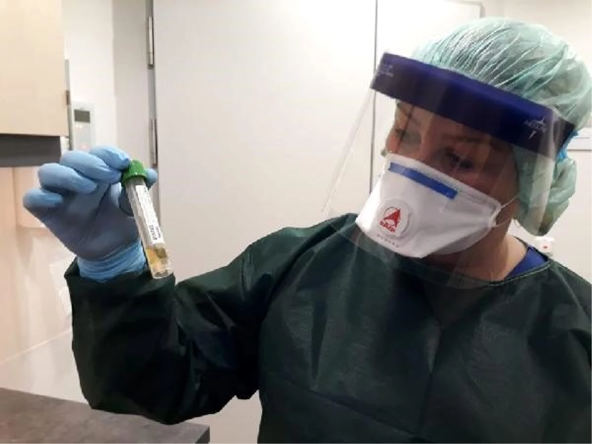 Almanya\'da koronavirüs hastalarına bakan Türk hemşire, 60 yaş üstü kişileri uyardı
