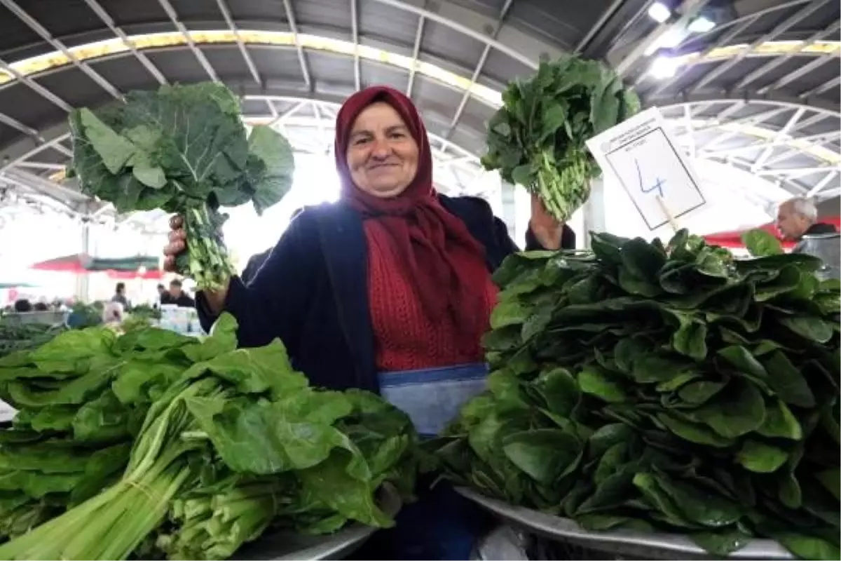 Bağışıklık sistemini güçlendiren kara lahana, sosyal medyadanın gündeminde