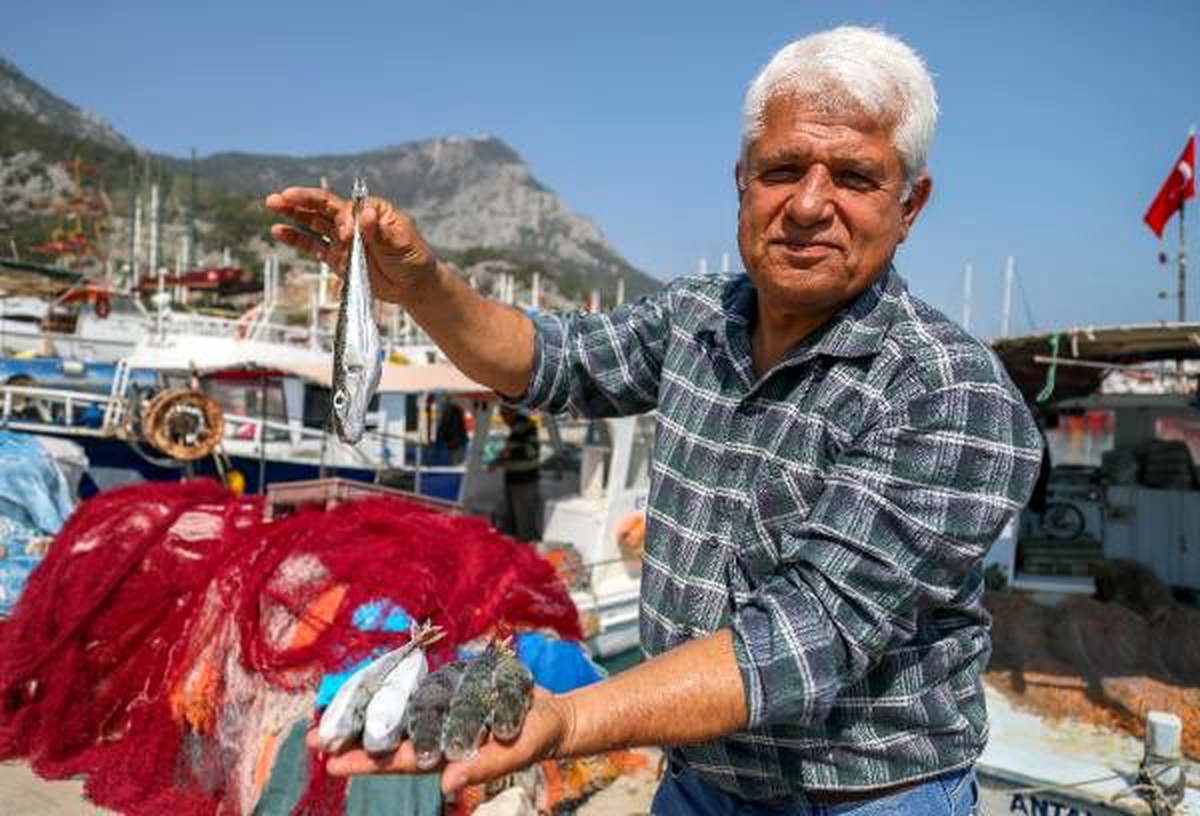Balon balığıyla mücadelede, \'Kuyruğunu getir 5 lira al\' projesi balıkçıları sevindirdi