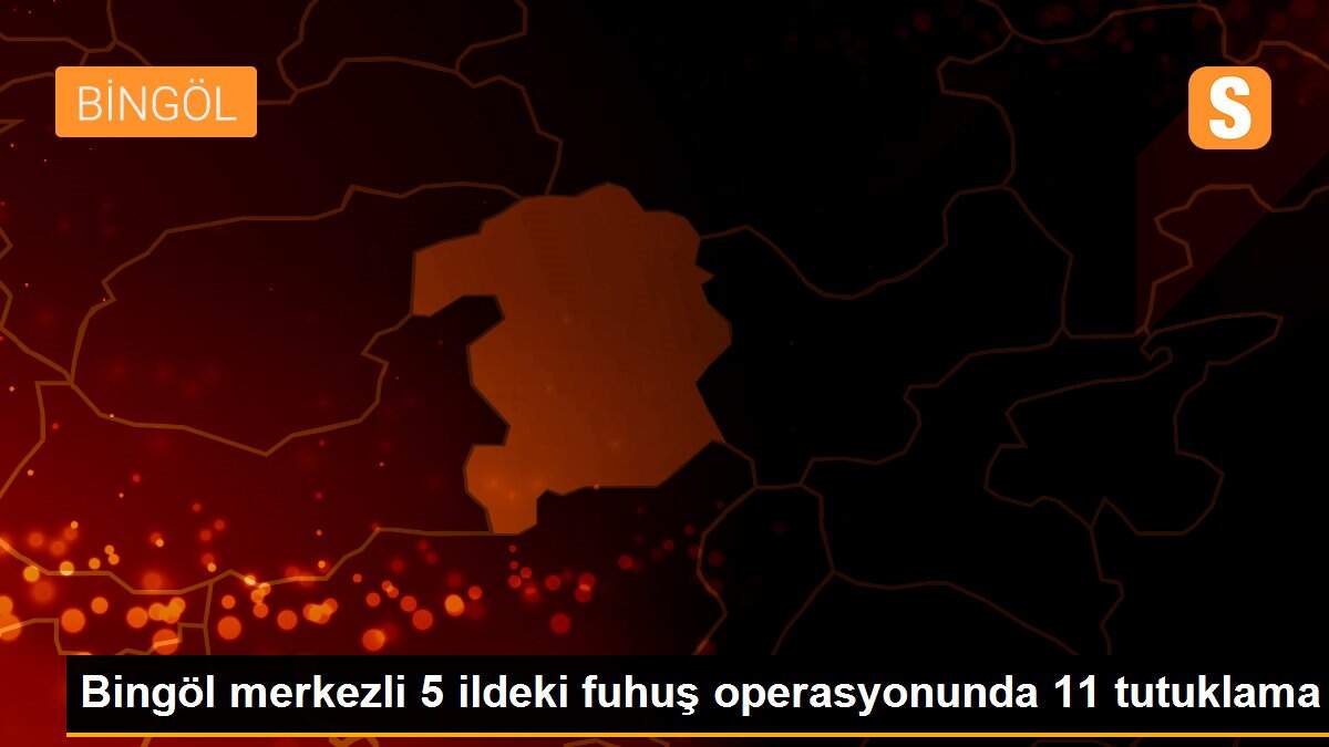 Bingöl merkezli 5 ildeki fuhuş operasyonunda 11 tutuklama