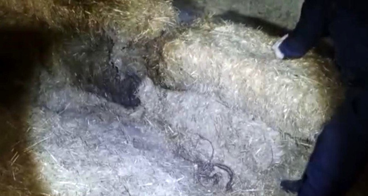 Çaldıkları kabloları samanlıkta sakladılar