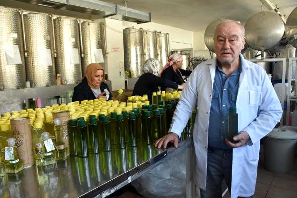 Torbalı zeytin kolonyasına yoğun talep
