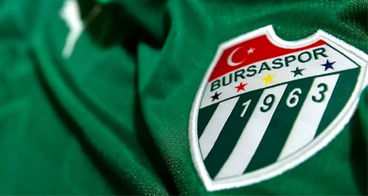 Ali Ay, Bursaspor\'dan ihraç edildi