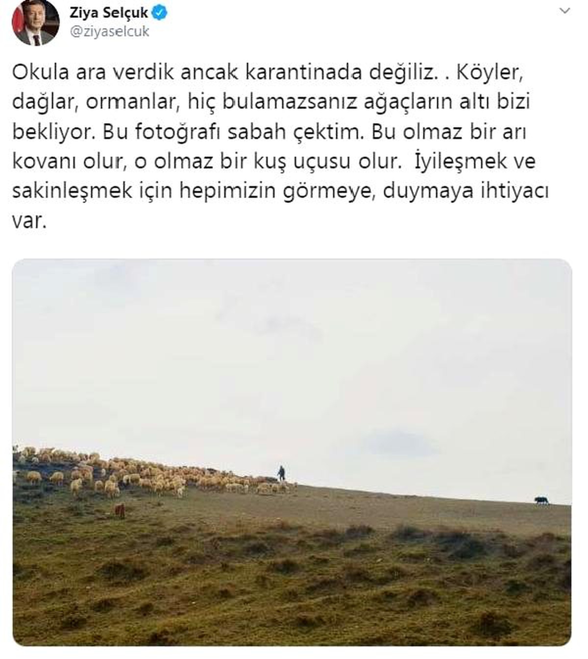Bakan Selçuk, paylaştığı çoban fotoğrafıyla, mesaj verdi