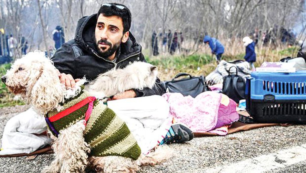 Eşim İstanbul\'a dönünce hayvanlarla birlikte yaşayacağız