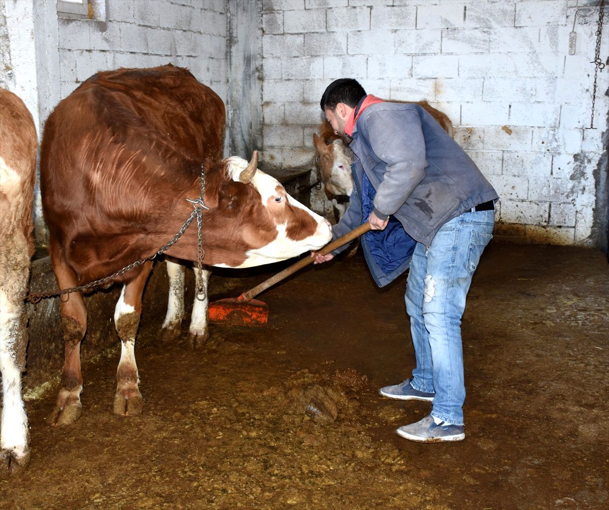 Görme engelli gencin hayali İŞKUR projesiyle gerçek oldu