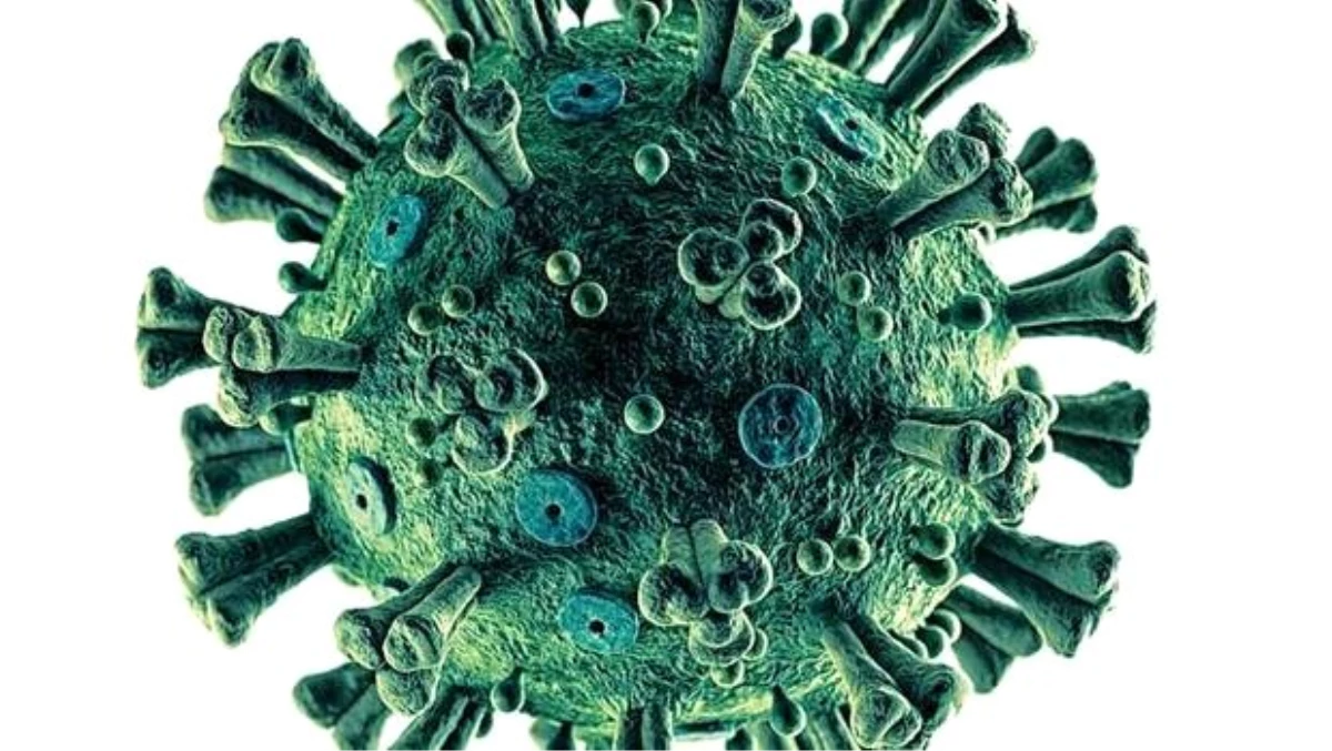 Hayatımızın yeni gerçeği corona virüs! 45 maddede corona virüs hakkında bilmeniz gereken her şey