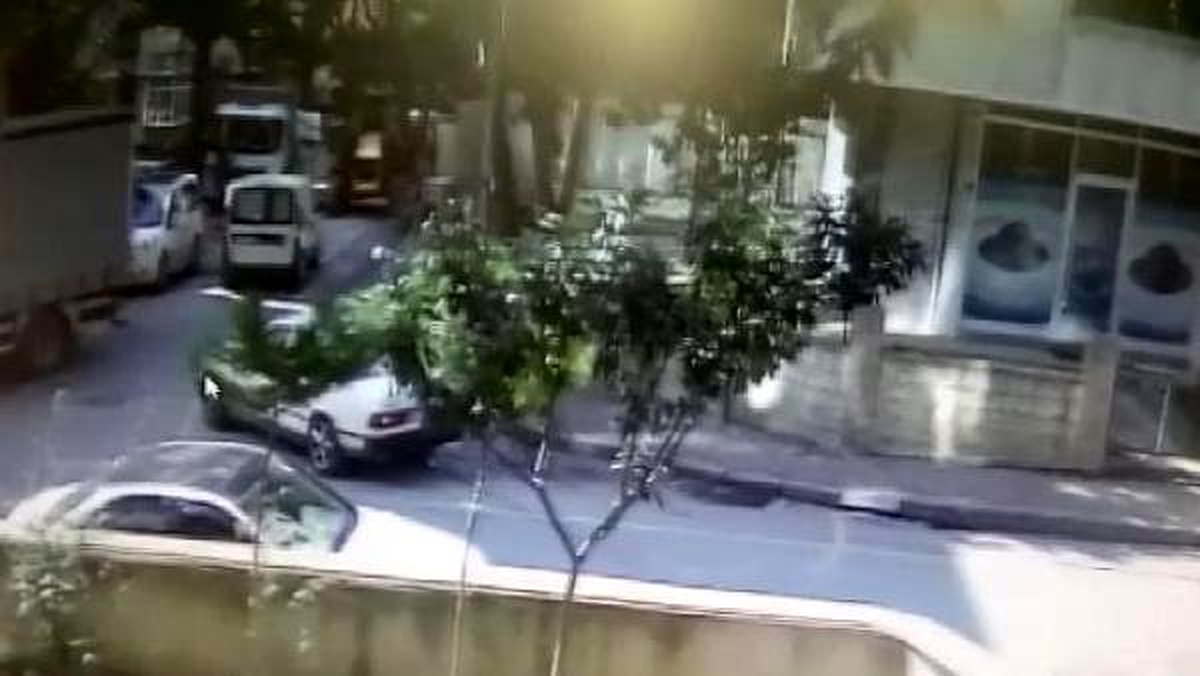 İş makinesi ağaca çarptı; ağaçtan kopan parça aracın üzerine düştü