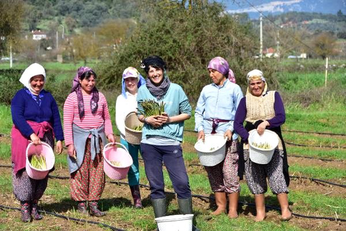 Kariyerini bırakıp, kuşkonmaz üretmeye başladı