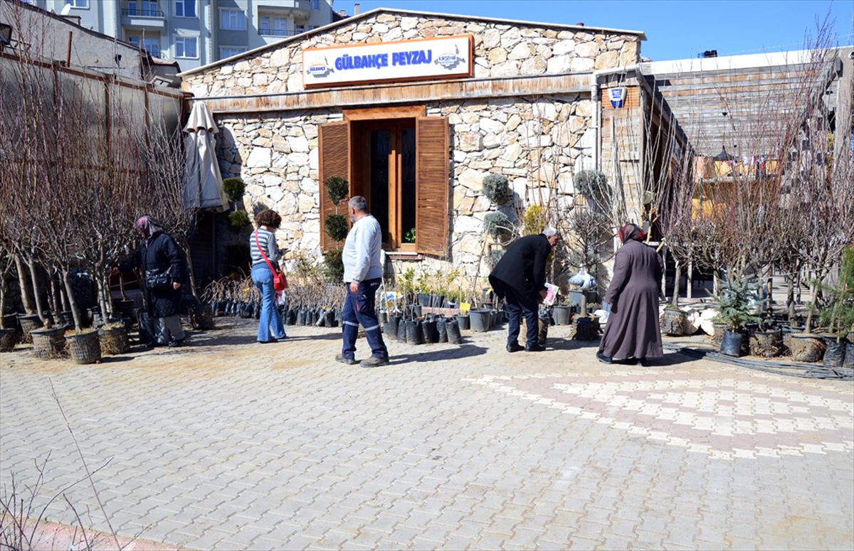 Kırşehir Belediyesi meyve fidanları ve çiçek satışlarına başladı