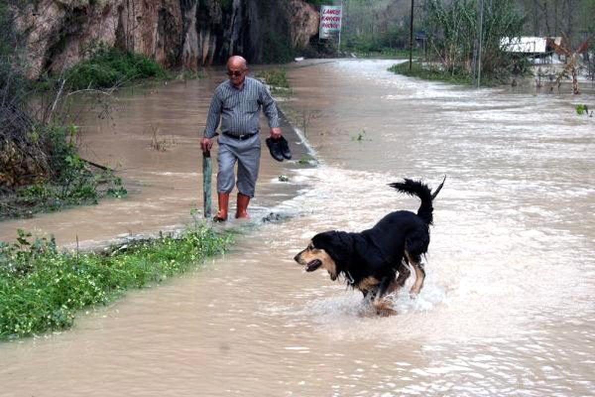 Limonlu Deresi\'nde su taşkını sürüyor