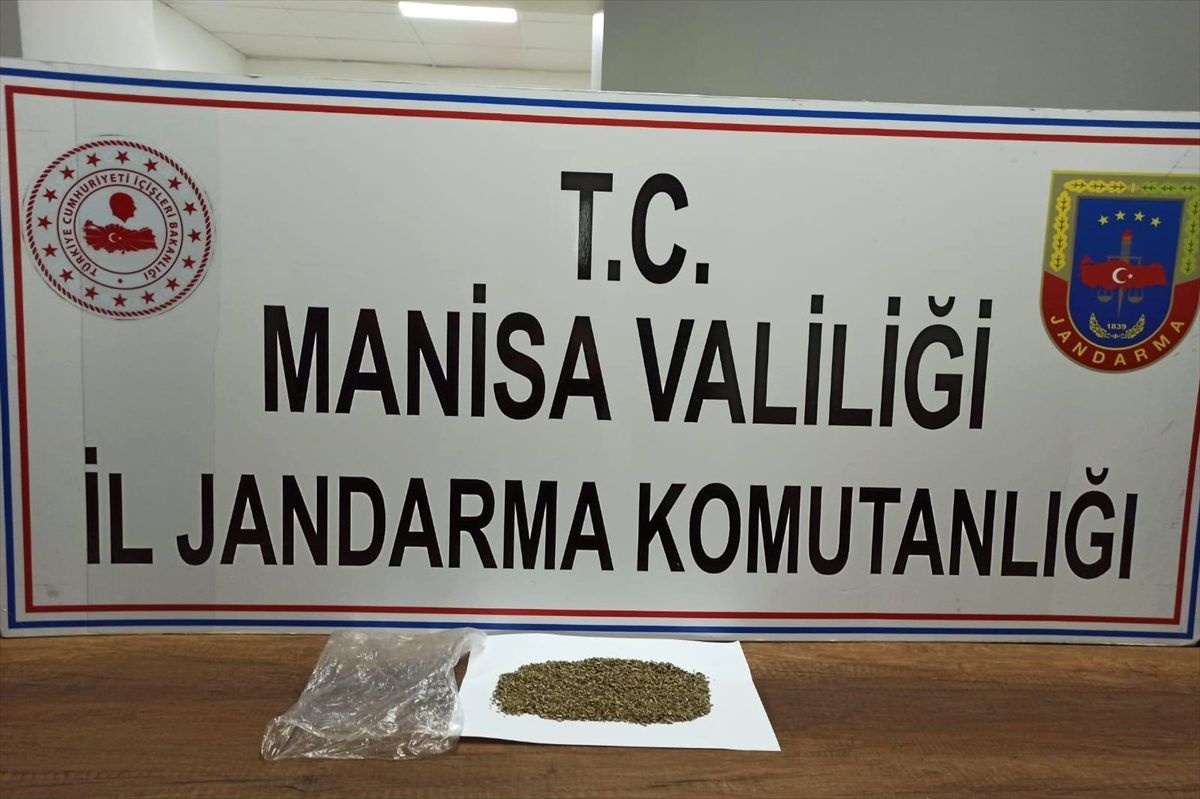Manisa\'da bonzai operasyonu