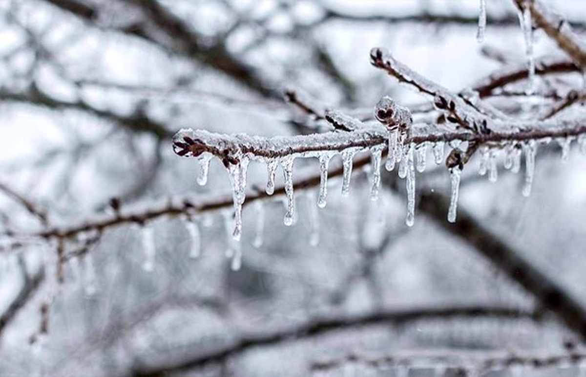 Meteorolojiden kar yağışı ve zirai don uyarısı