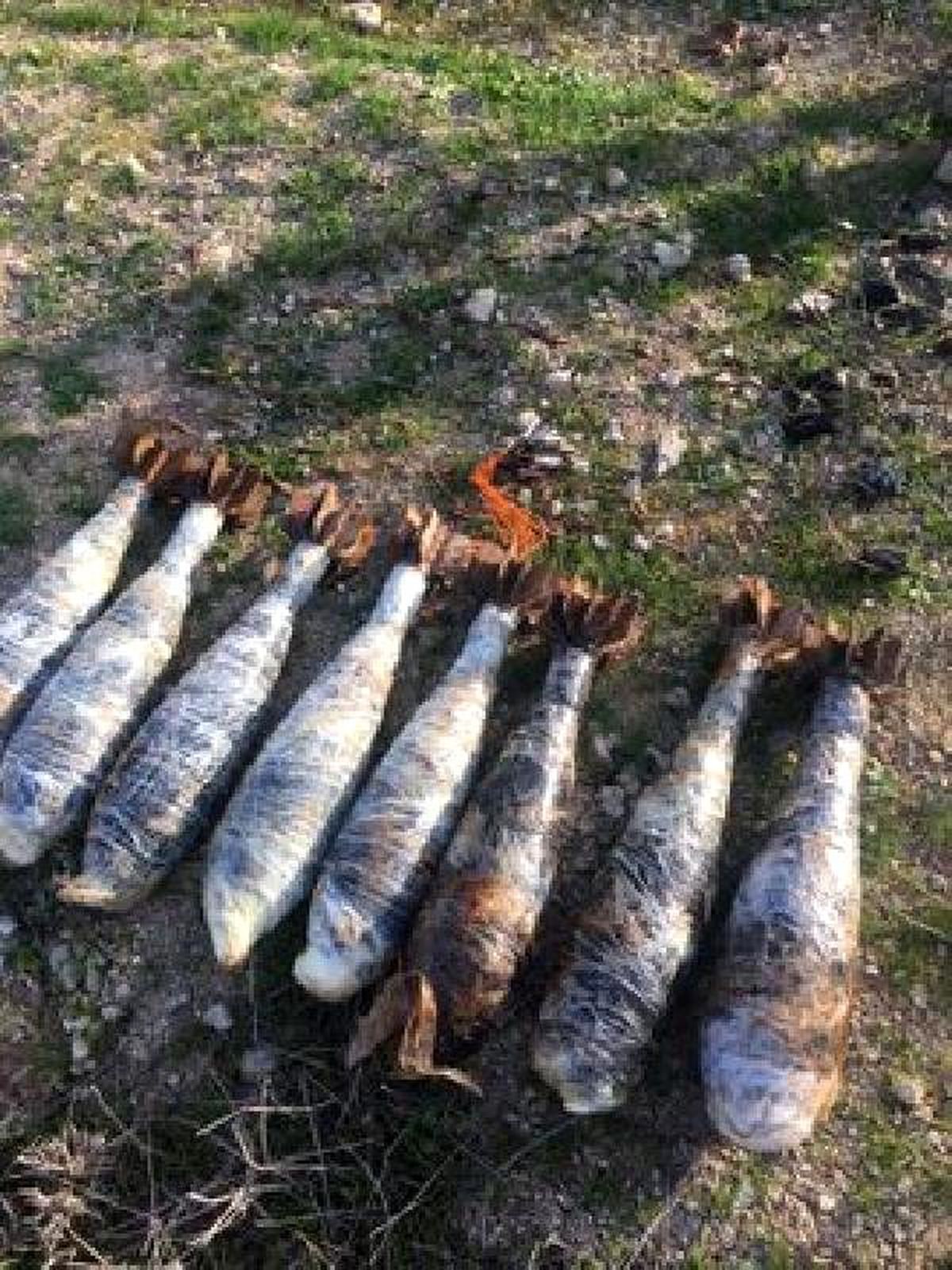 MSB: Harekat bölgesinde 25 EYP imha edildi