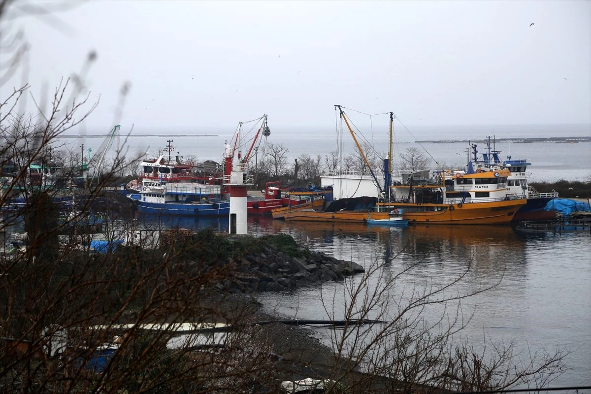 Orta Karadeniz\'de balıkçılar sezonu erken kapatıyor