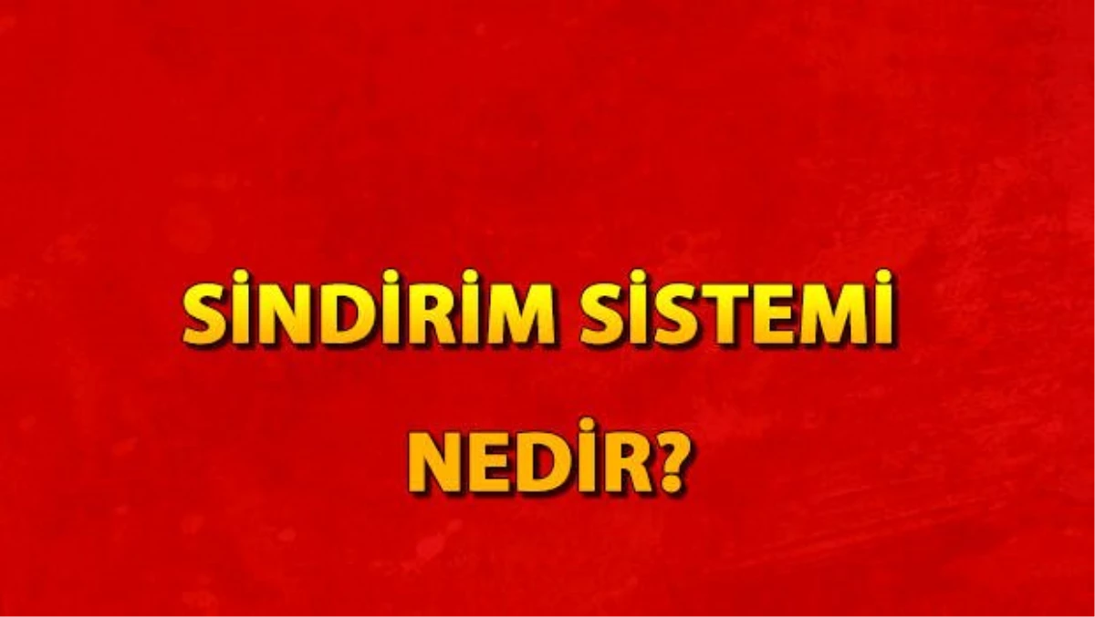 Sindirim sistemi nedir? Sindirim sistemi organları ve hastalıkları nelerdir?