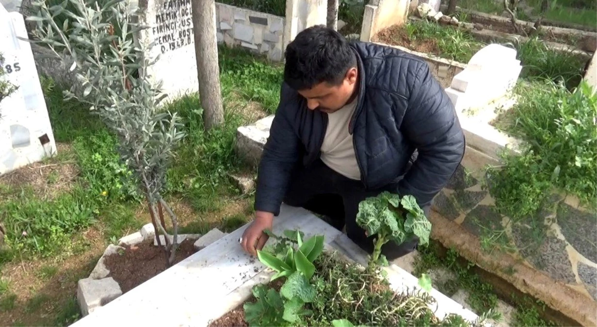 Sivil şehidin mezar taşını çaldılar