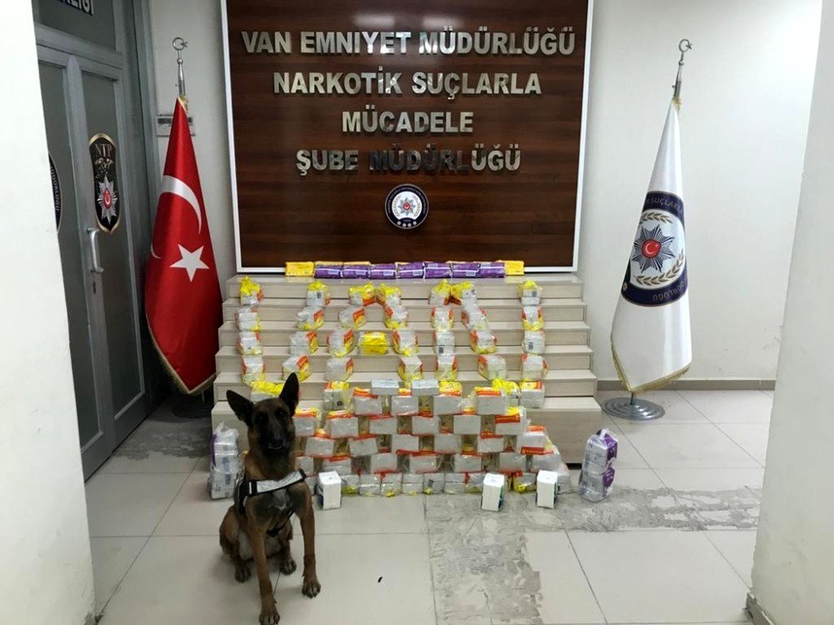 Üzerinde \'ıslak havlu\' yazılı paketlerden zehir çıktı