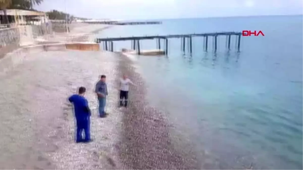 ANTALYA Kemer\'de sahile köpek balığı ölüsü vurdu