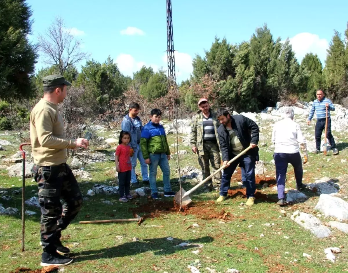 Beyşehir\'de mahalleli gençlerden "Benim de dikili bir fidanım olsun" etkinliği