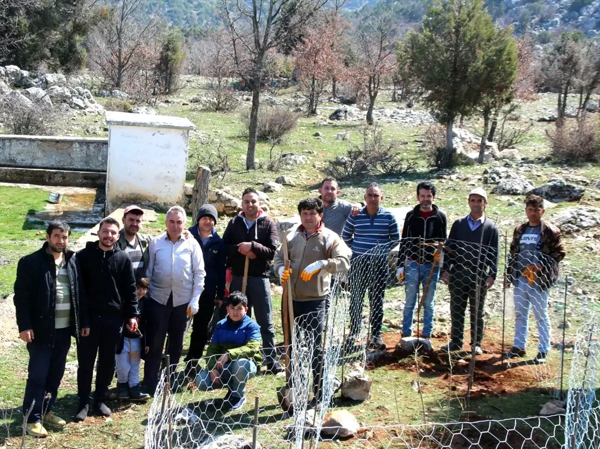 Beyşehir\'in mahallesinde "benim de bir fidanım olsun" etkinliği