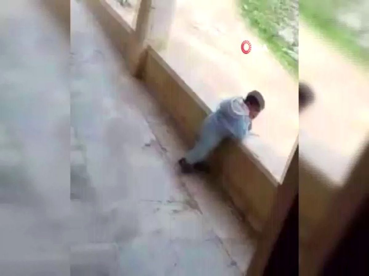 Esad\'ın görünmez gücü Şebbiha