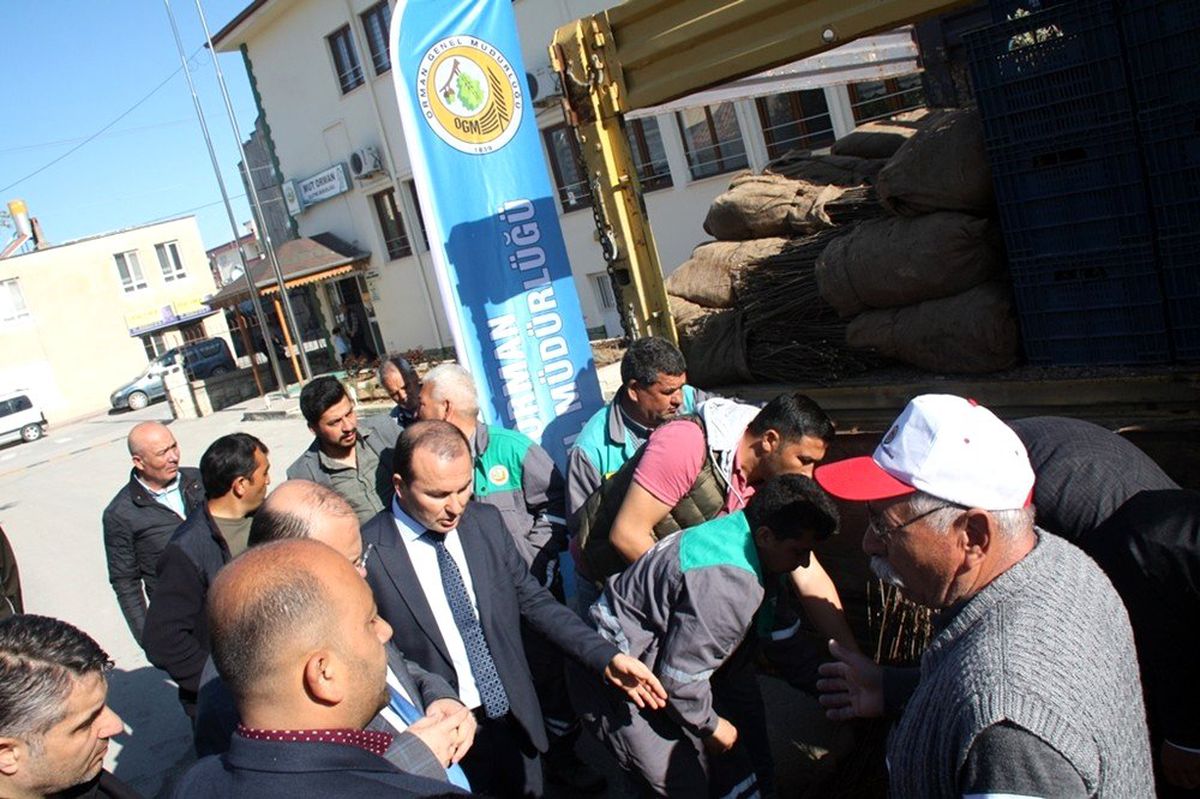 Mut\'ta 7 bin adet adaçayı fidesi dağıtıldı