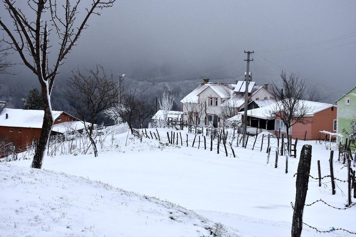Sakarya Dikmen yaylasında kar kalınlığı 25 santimetreye ulaştı