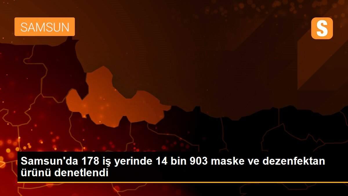 Samsun\'da 178 iş yerinde 14 bin 903 maske ve dezenfektan ürünü denetlendi