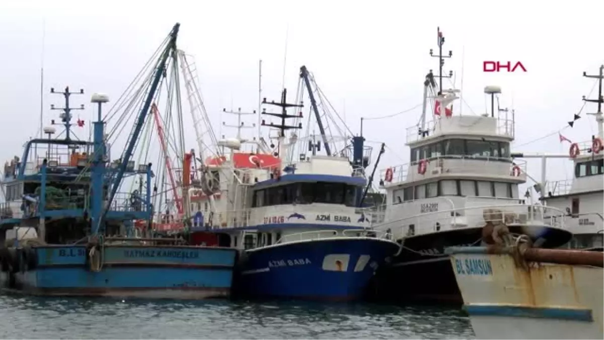 SAMSUN Karadeniz\'de balık av sezonu erken kapanıyor