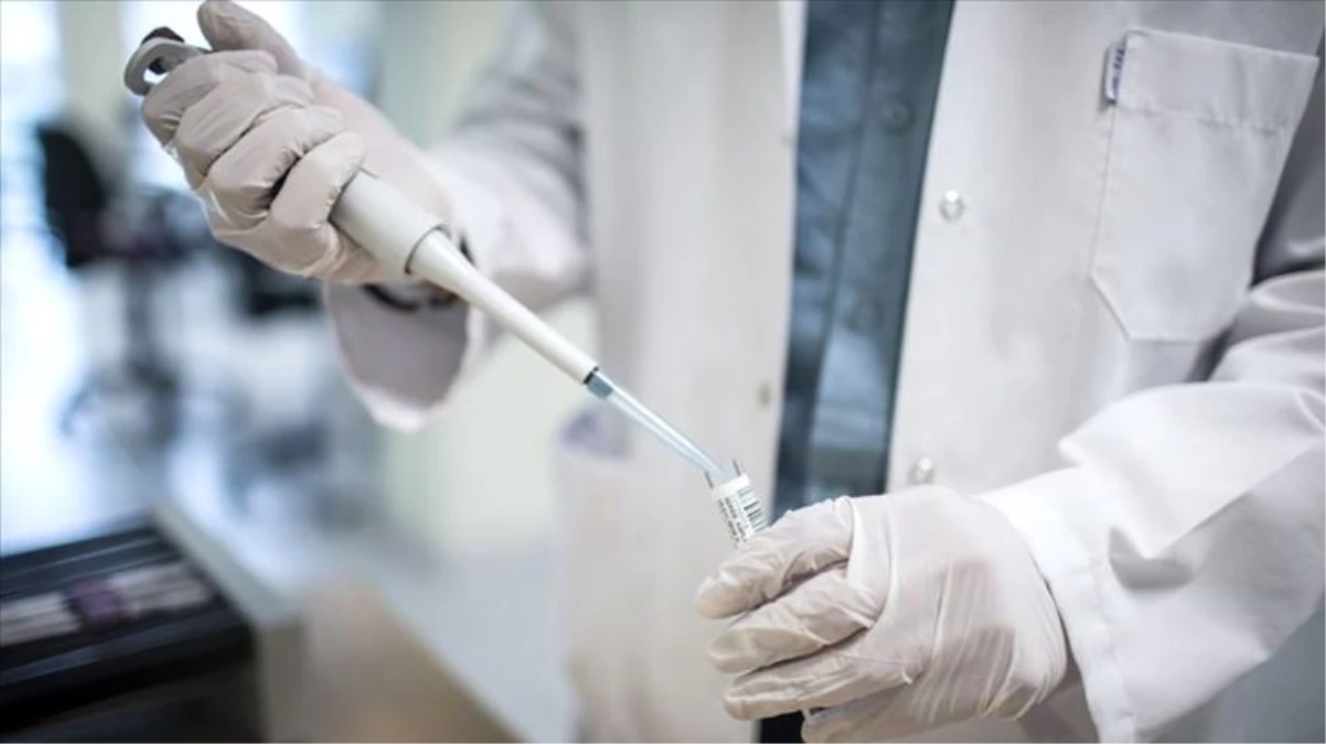 Umutlandıran haber ABD\'den geldi: Bugün ilk koronavirüs aşısı test edilecek
