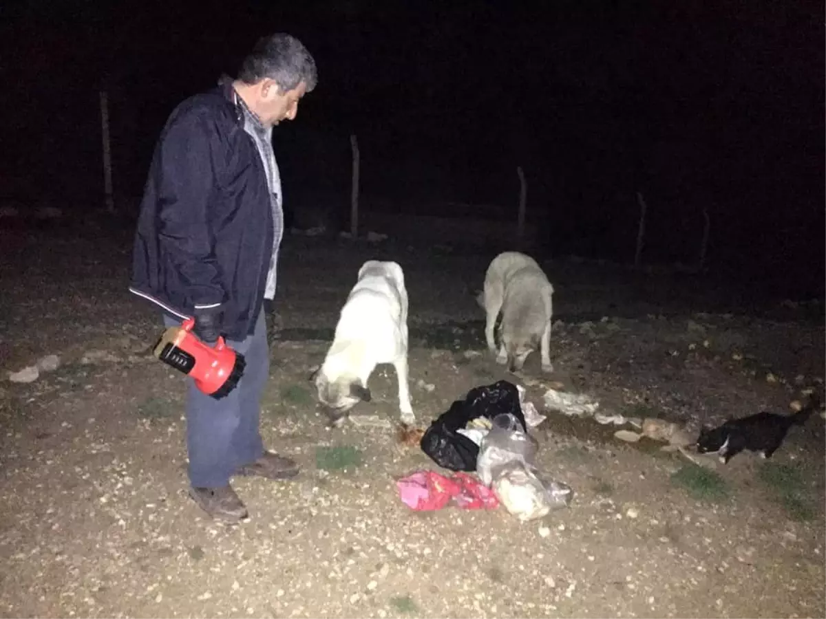 Bayat ekmekler sokak hayvanlarını besledi