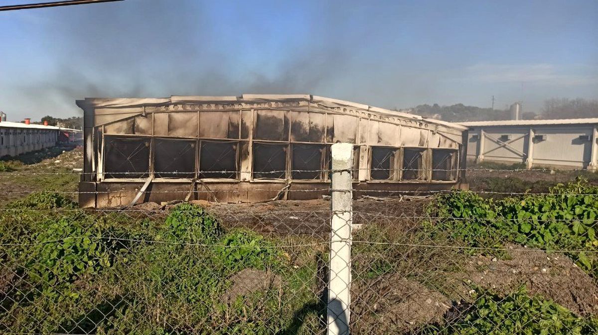 Elektrik kontağı tavukhaneyi küle çevirdi