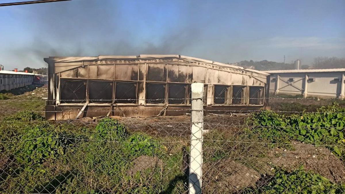 Elektrik kontağı tavukhaneyi küle çevirdi