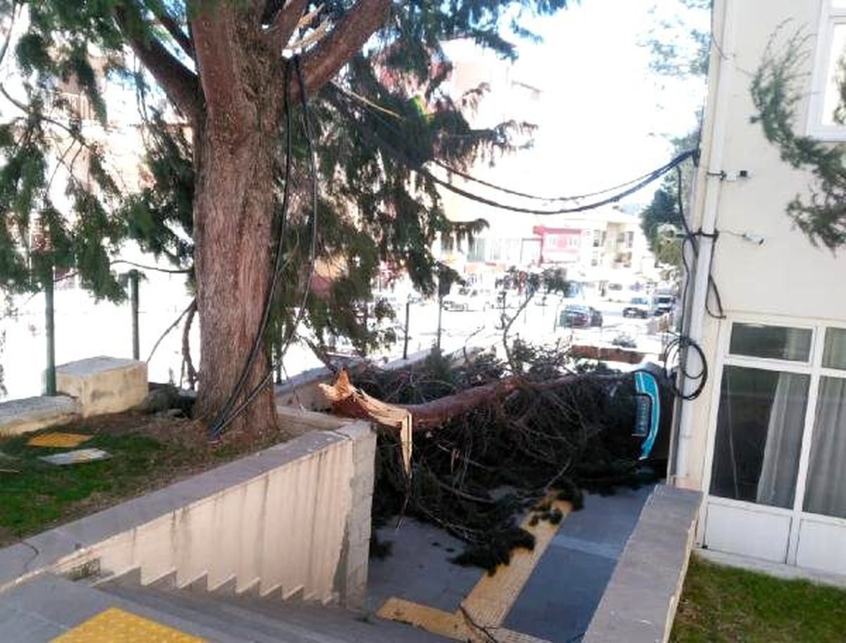 Fırtınada cami minaresi yıkıldı, ağaçlar devrildi