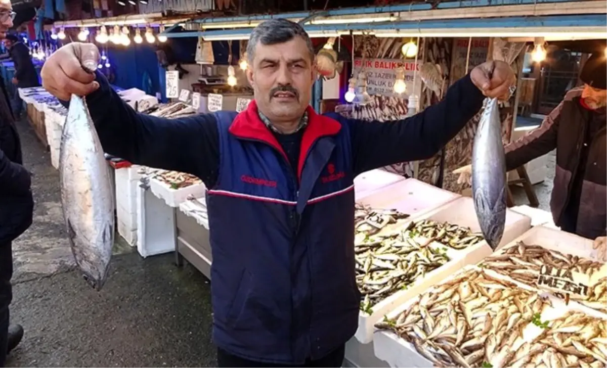Karadeniz\'de balıkçıların yüzünü palamut güldürdü