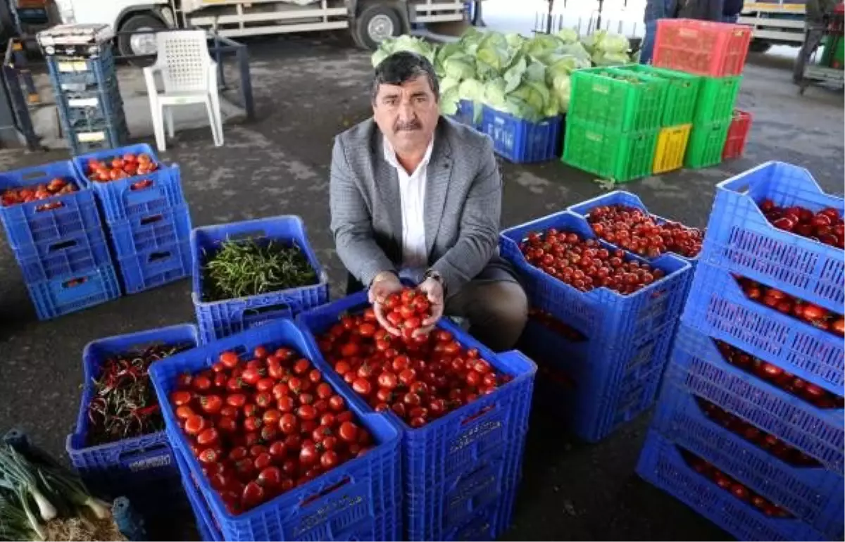 meyve fiyatında koronavirüs değil, \'soğuk\' etkisi