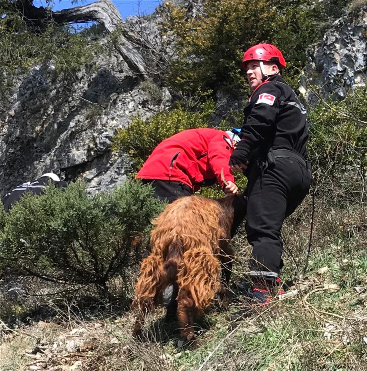Sakarya\'da kanyonda mahsur kalan keçiler kurtarıldı