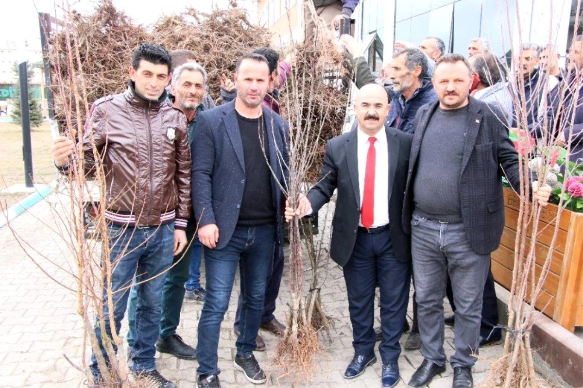 Selim Belediyesi\'nden her eve bir meyve ağacı
