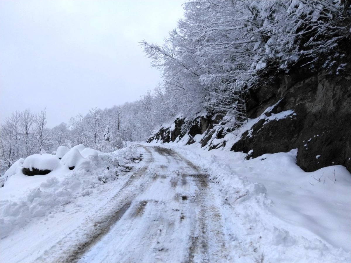 Trabzon\'da kardan kapanan tüm mahalle yolları ulaşıma açıldı