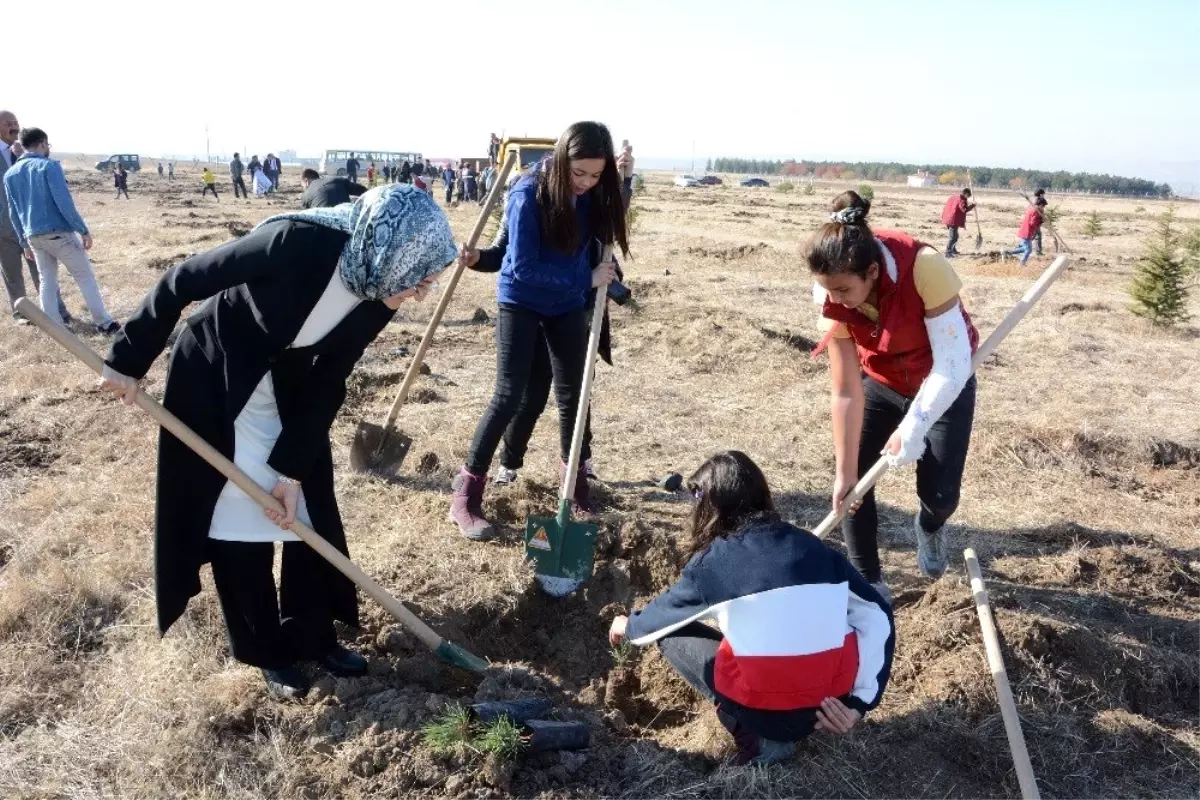 Akyurt\'ta her can için bir fidan dikilecek