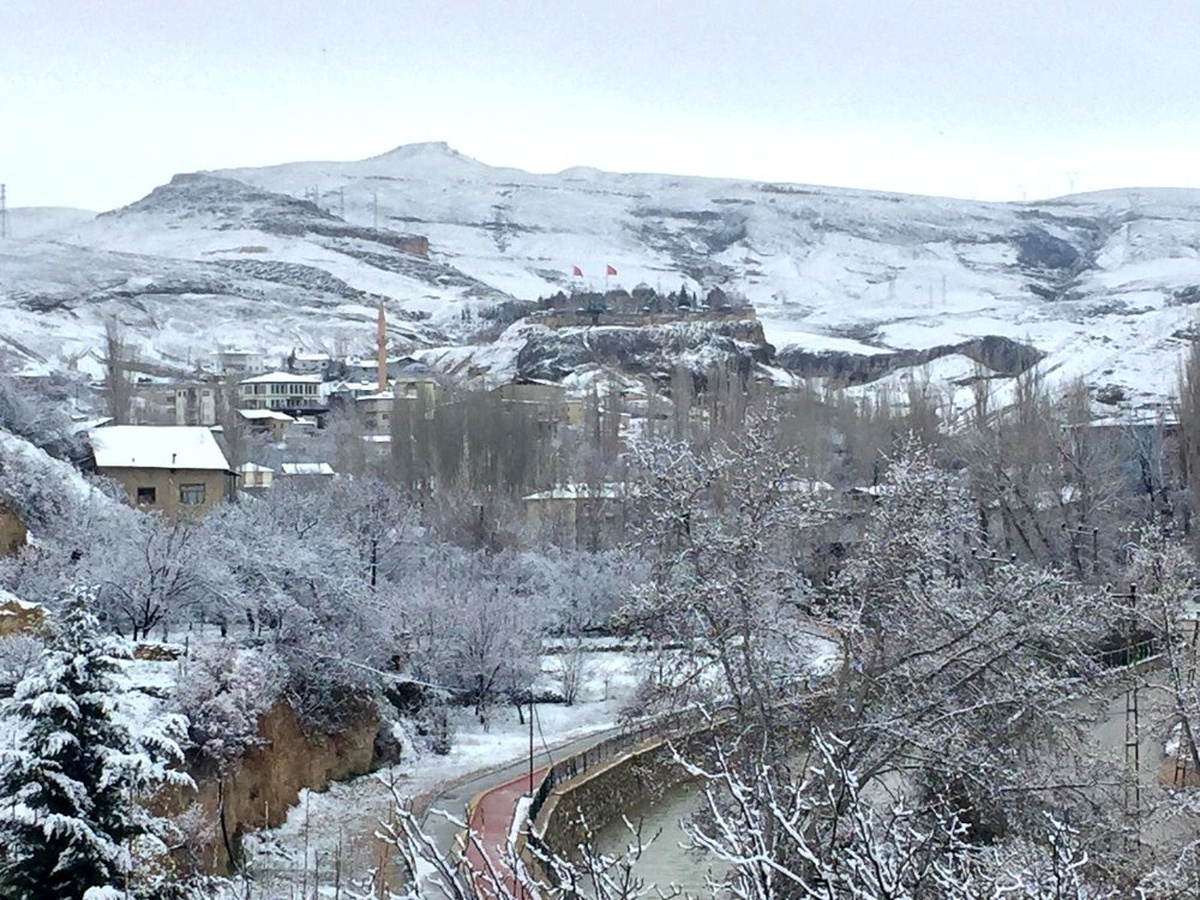 Darende\'de çiçek açan kayısı kara gömüldü