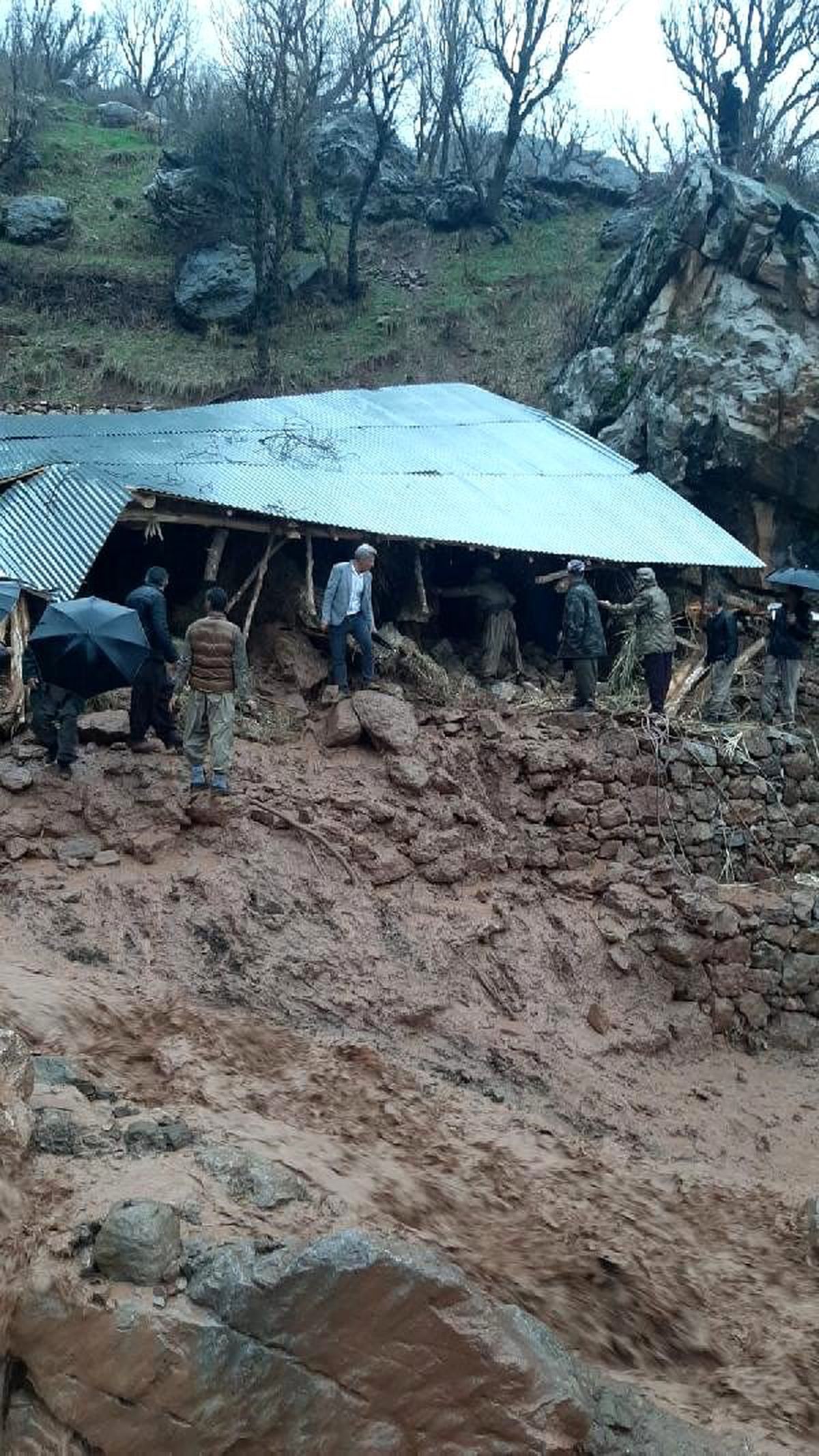 Derecik\'te yağmurda ahır çöktü; 8 büyükbaş kurtarıldı