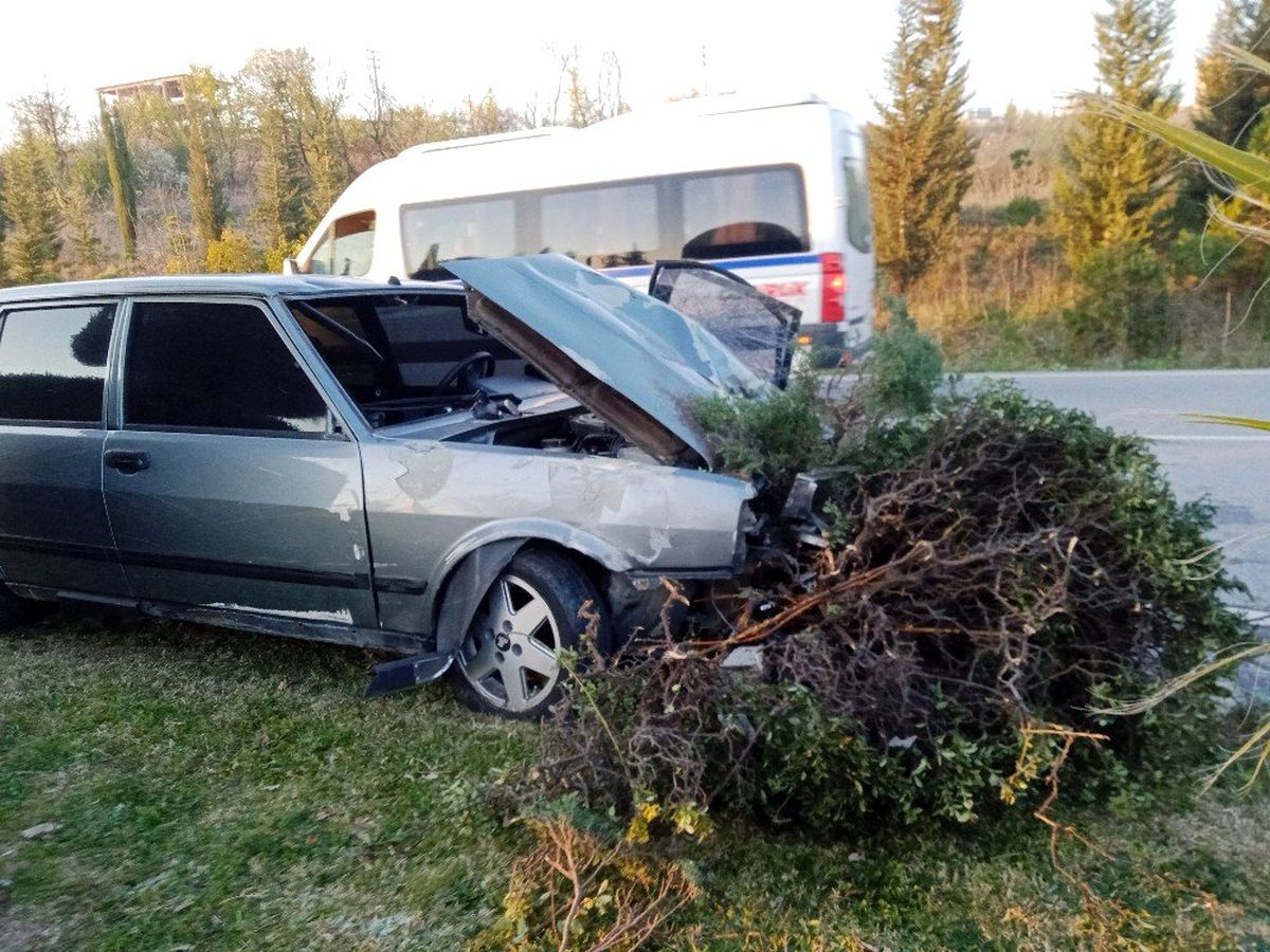 Otomobil refüjdeki ağaçları yerinden söktü