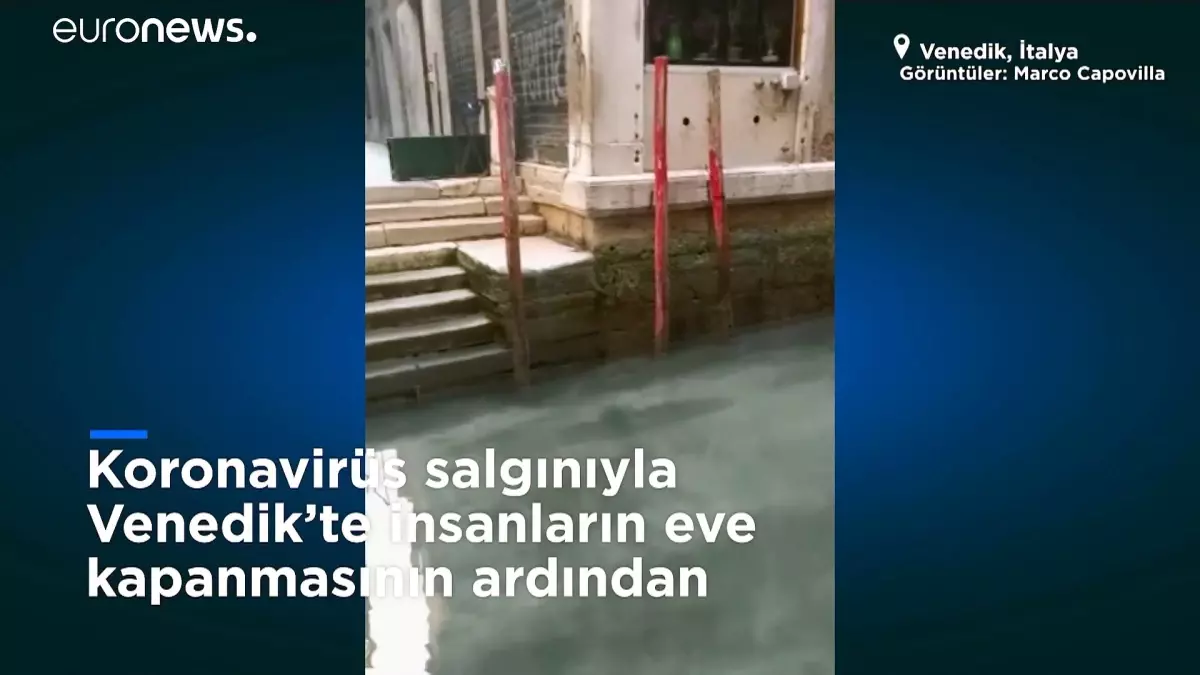 Video| Karantina sayesinde Venedik\'in ünlü kanalları temizlendi, balık ve kuğular döndü